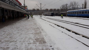 cfr-iarna