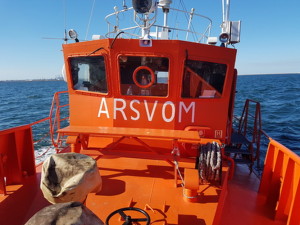 arsvom