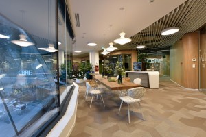 2Foto_birouri CBRE_2