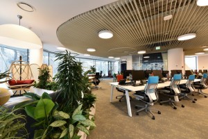 Foto birouri CBRE_3
